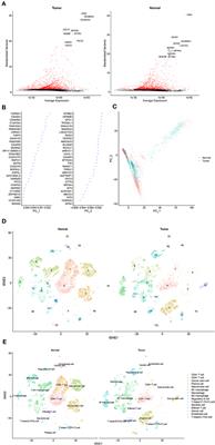 Prognostic Implication of the Expression Level of PECAM-1 in Non-small Cell Lung Cancer